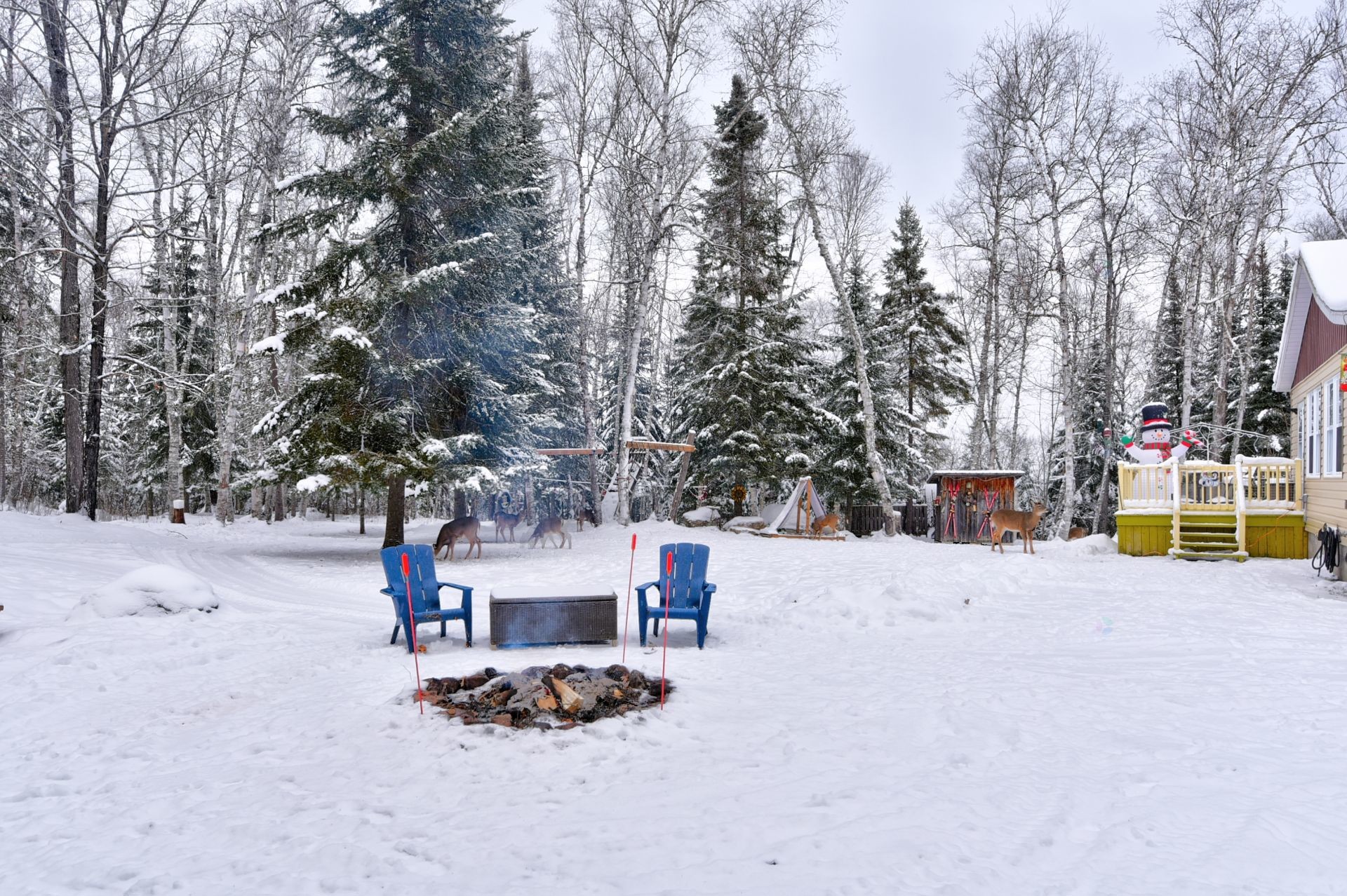 









40


Ch. des Érables

,
Saint-Michel-des-Saints,




QC
J0K3B0

