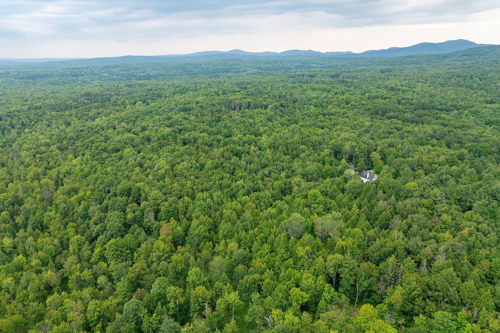












Ch. Élie

,
Sutton,







QC
J0E2K0

