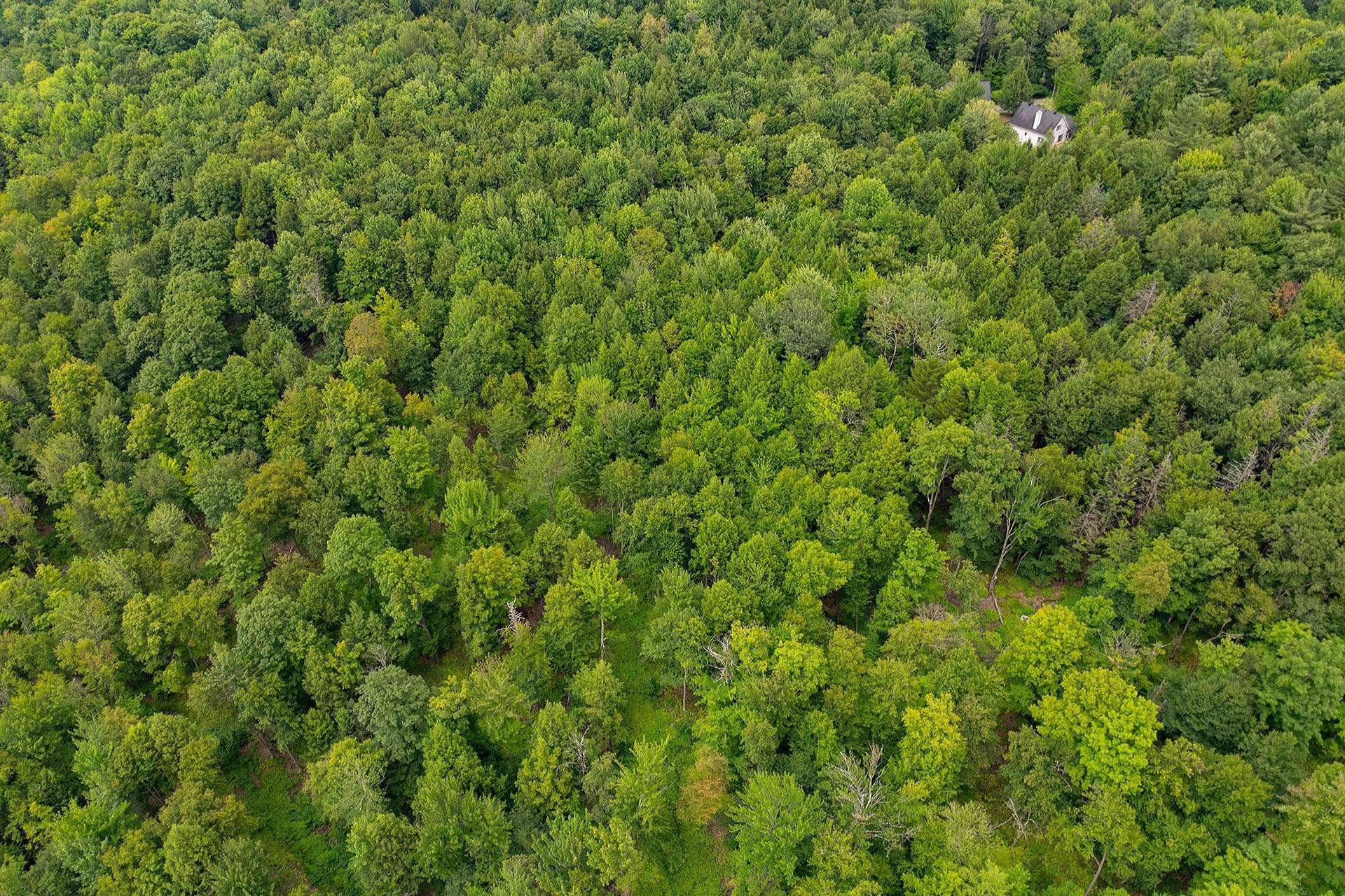 












Ch. Élie

,
Sutton,







QC
J0E2K0

