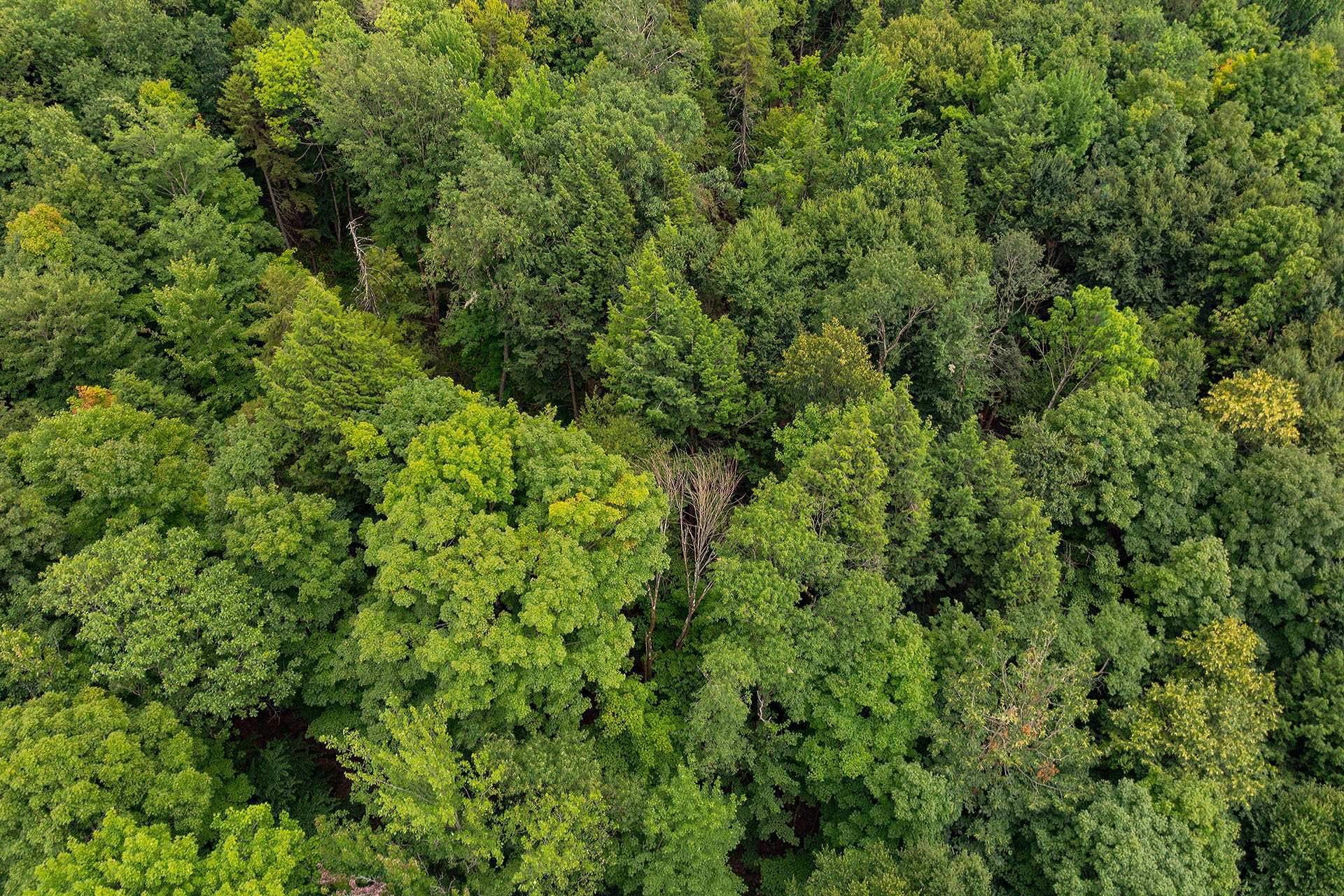 












Ch. Élie

,
Sutton,







QC
J0E2K0

