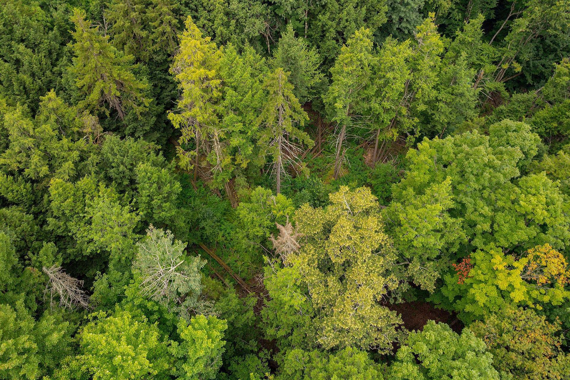 












Ch. Élie

,
Sutton,







QC
J0E2K0

