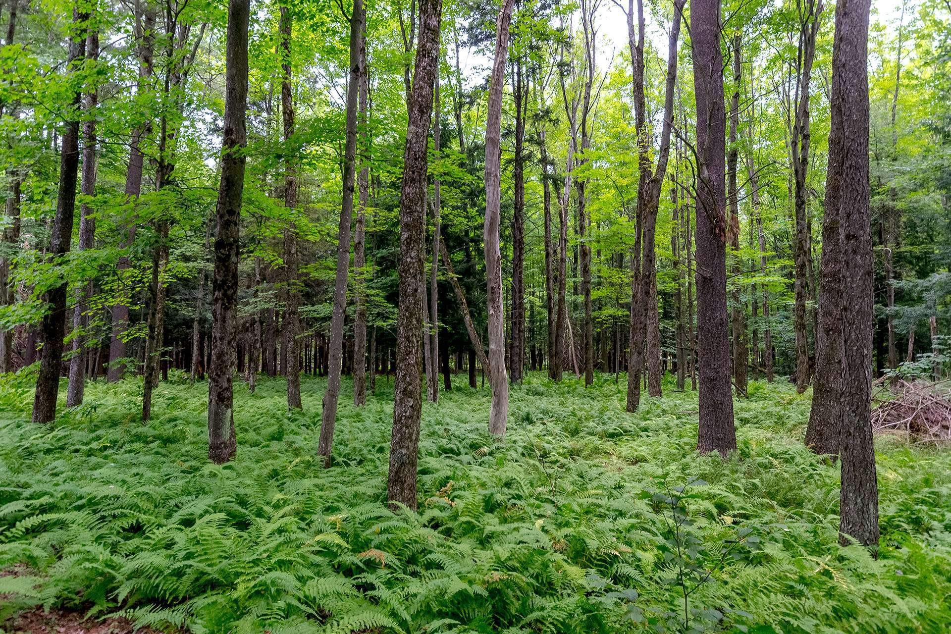 












Ch. Élie

,
Sutton,







QC
J0E2K0

