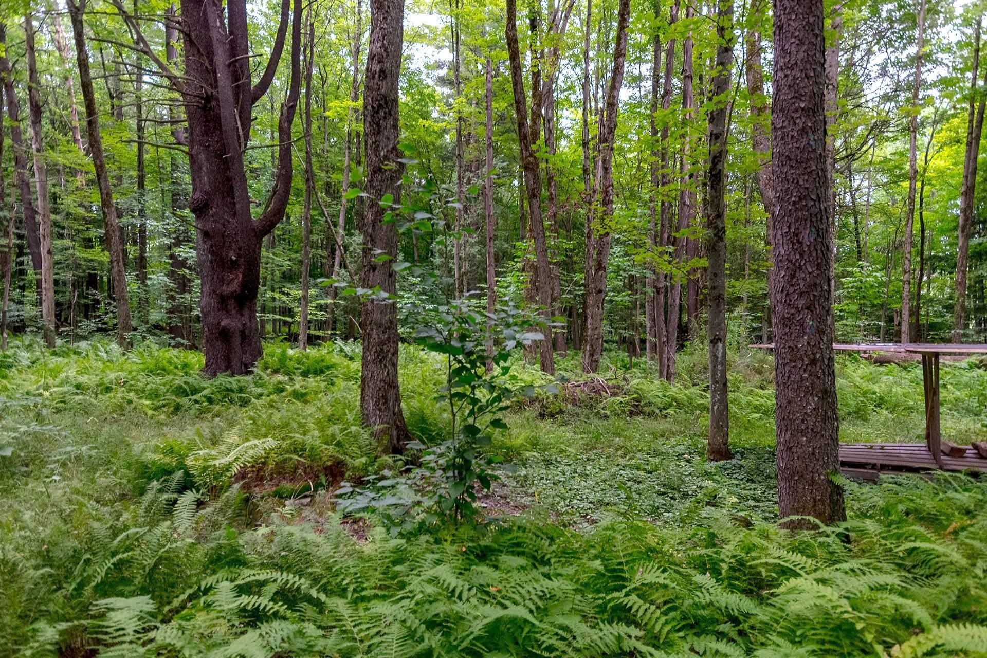 












Ch. Élie

,
Sutton,







QC
J0E2K0


