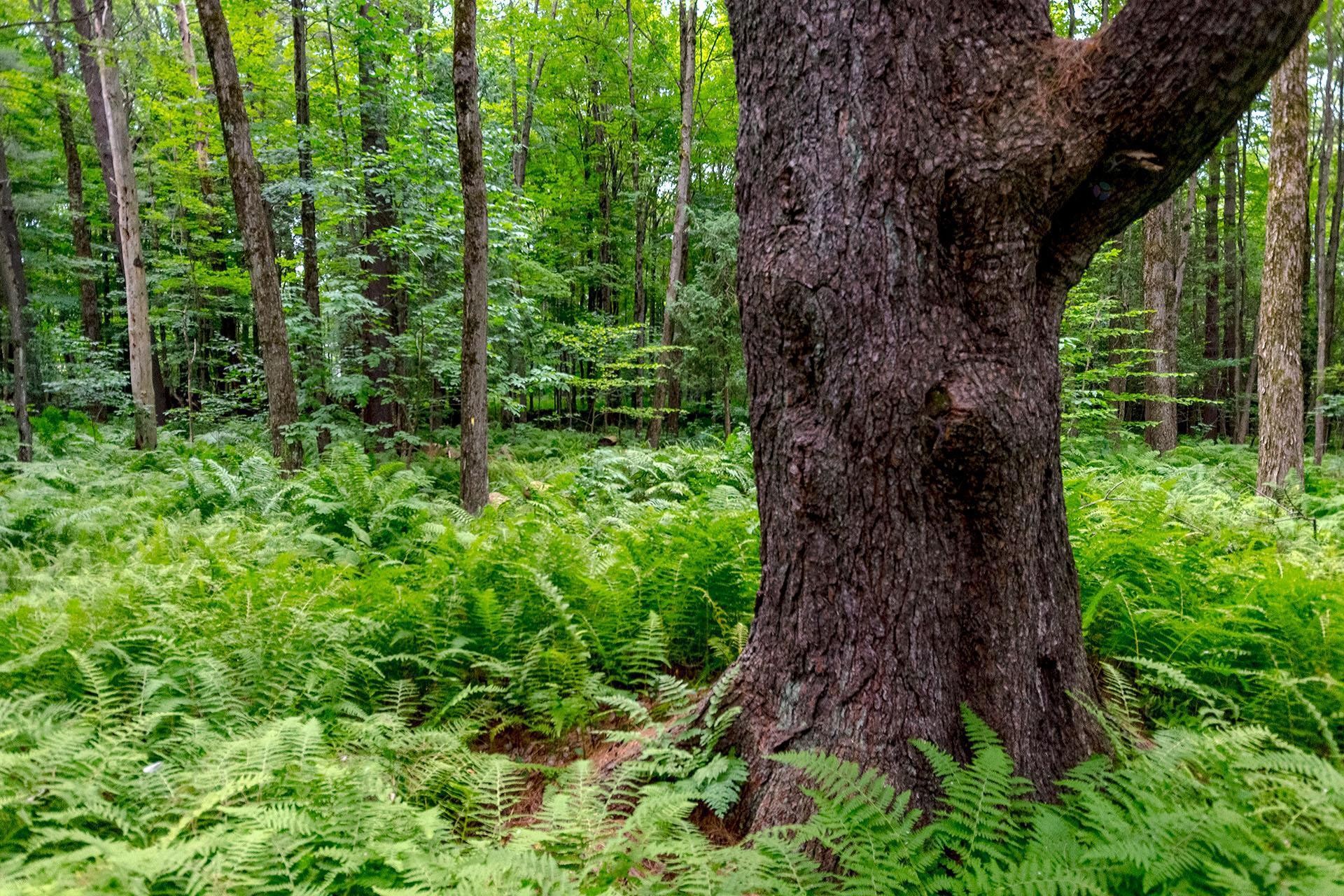 












Ch. Élie

,
Sutton,







QC
J0E2K0

