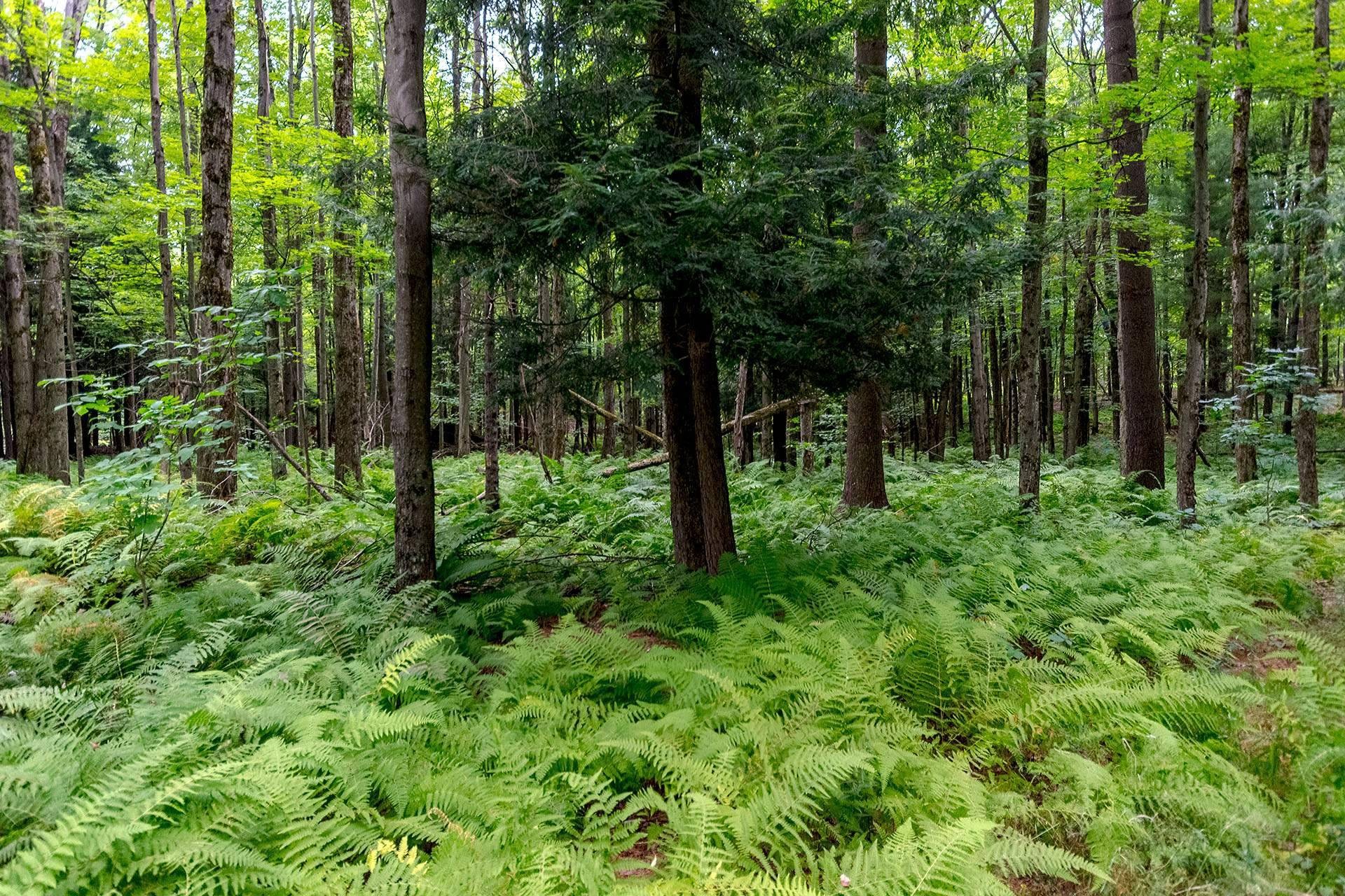 












Ch. Élie

,
Sutton,







QC
J0E2K0

