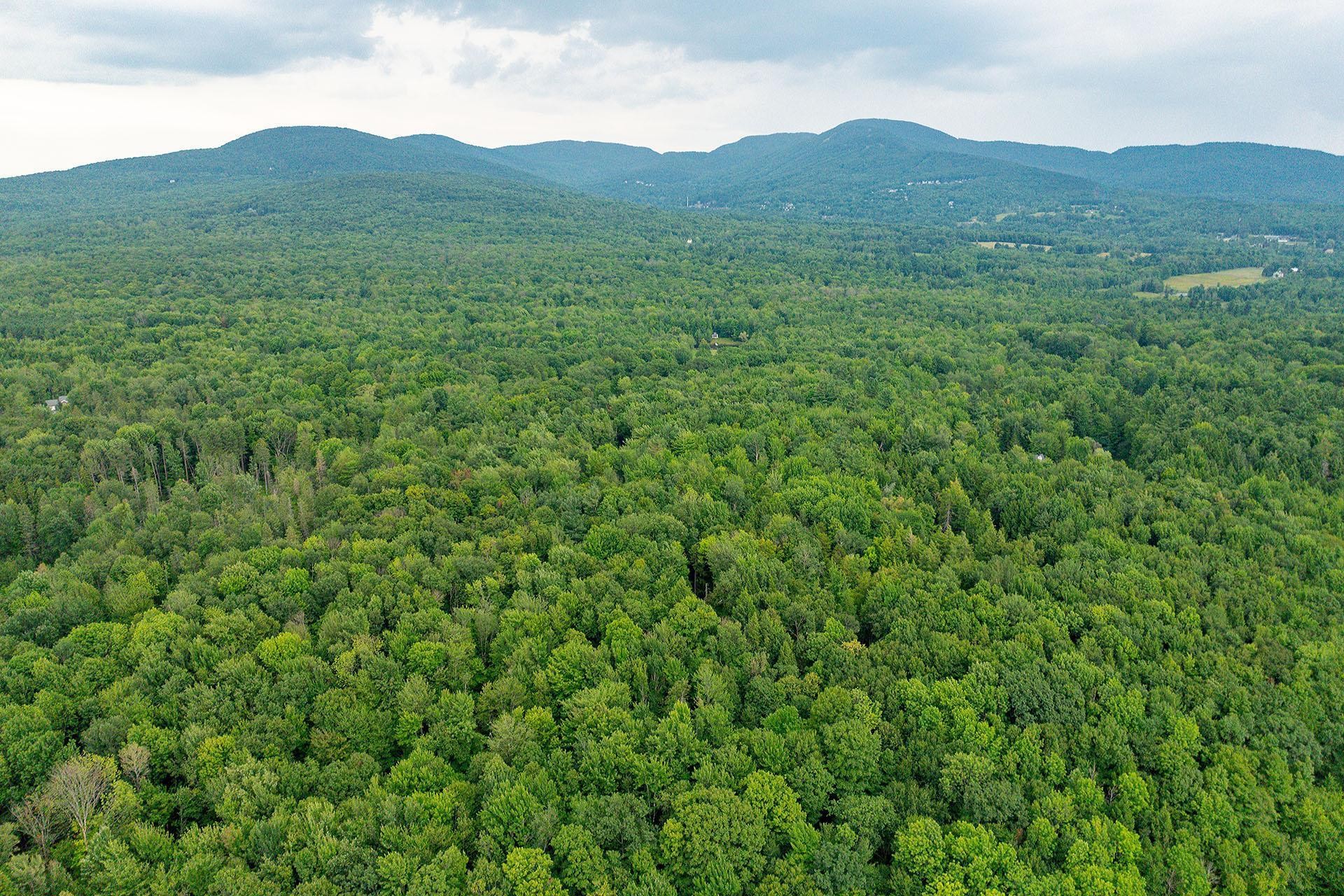 












Ch. Élie

,
Sutton,







QC
J0E2K0

