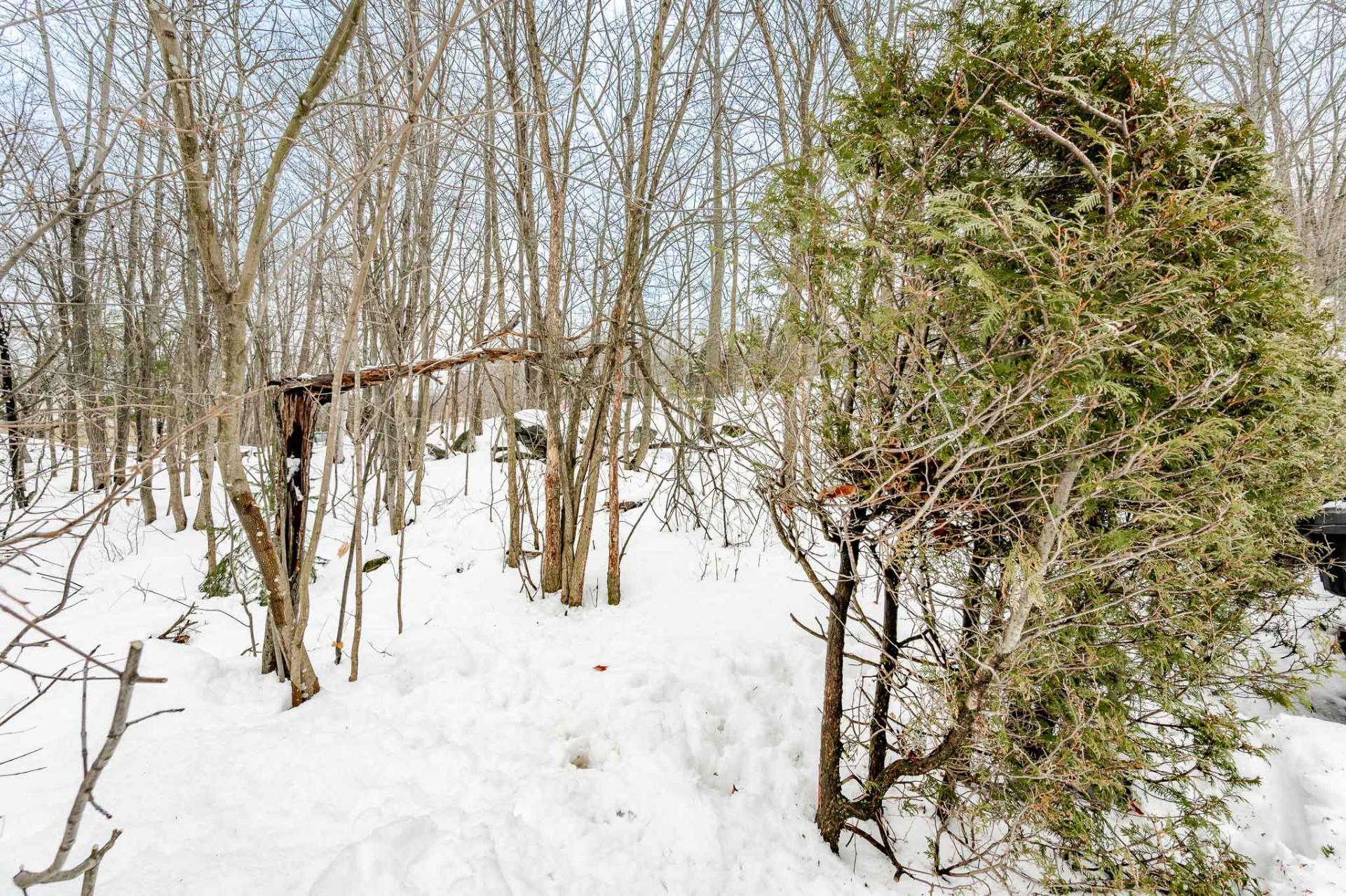 









1402Z

 - 1404Z


Rue St-Gilles

,
Sherbrooke (Les Nations),




QC
J1H3C4

