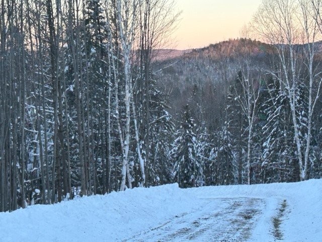 









839


Rg Sacacomie

, 37,
Saint-Alexis-des-Monts,







QC
J0K1V0

