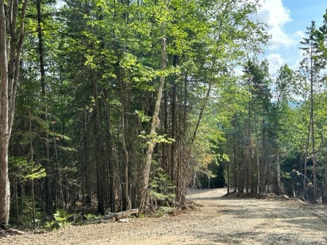 









839


Rg Sacacomie

, 37,
Saint-Alexis-des-Monts,







QC
J0K1V0

