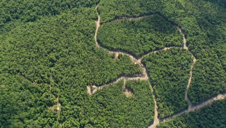 









839


Rg Sacacomie

, 37,
Saint-Alexis-des-Monts,







QC
J0K1V0

