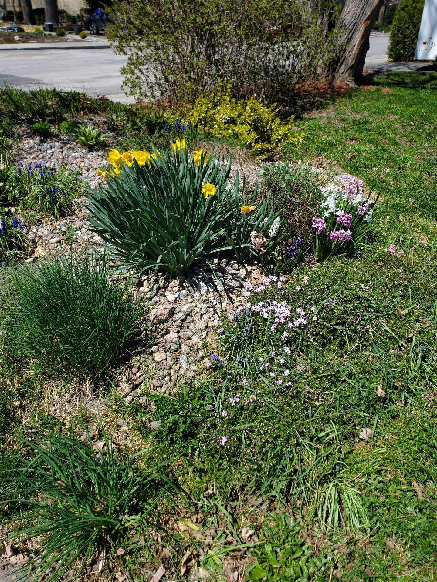 









18


Rue Legault

,
Gatineau (Hull),




QC
J8Y1J2

