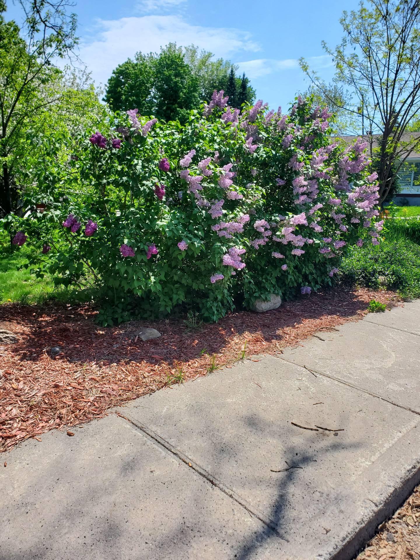 









18


Rue Legault

,
Gatineau (Hull),




QC
J8Y1J2

