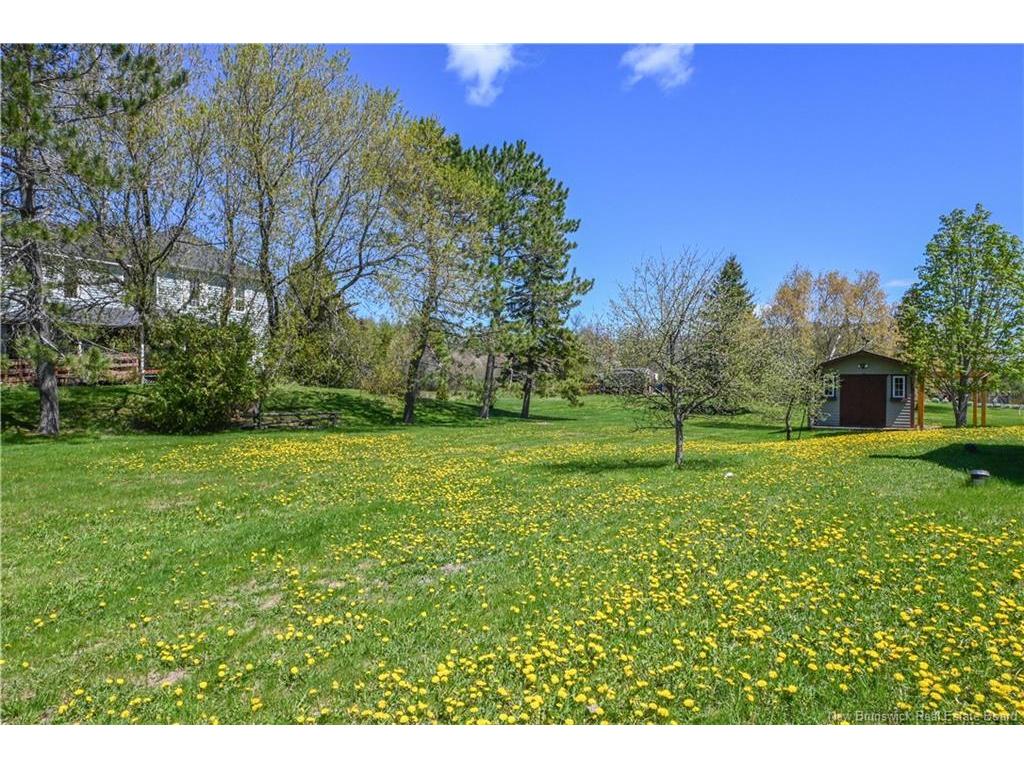 









14


Augustin Nord

ST,
Neguac,




NB
E9G 1A8

