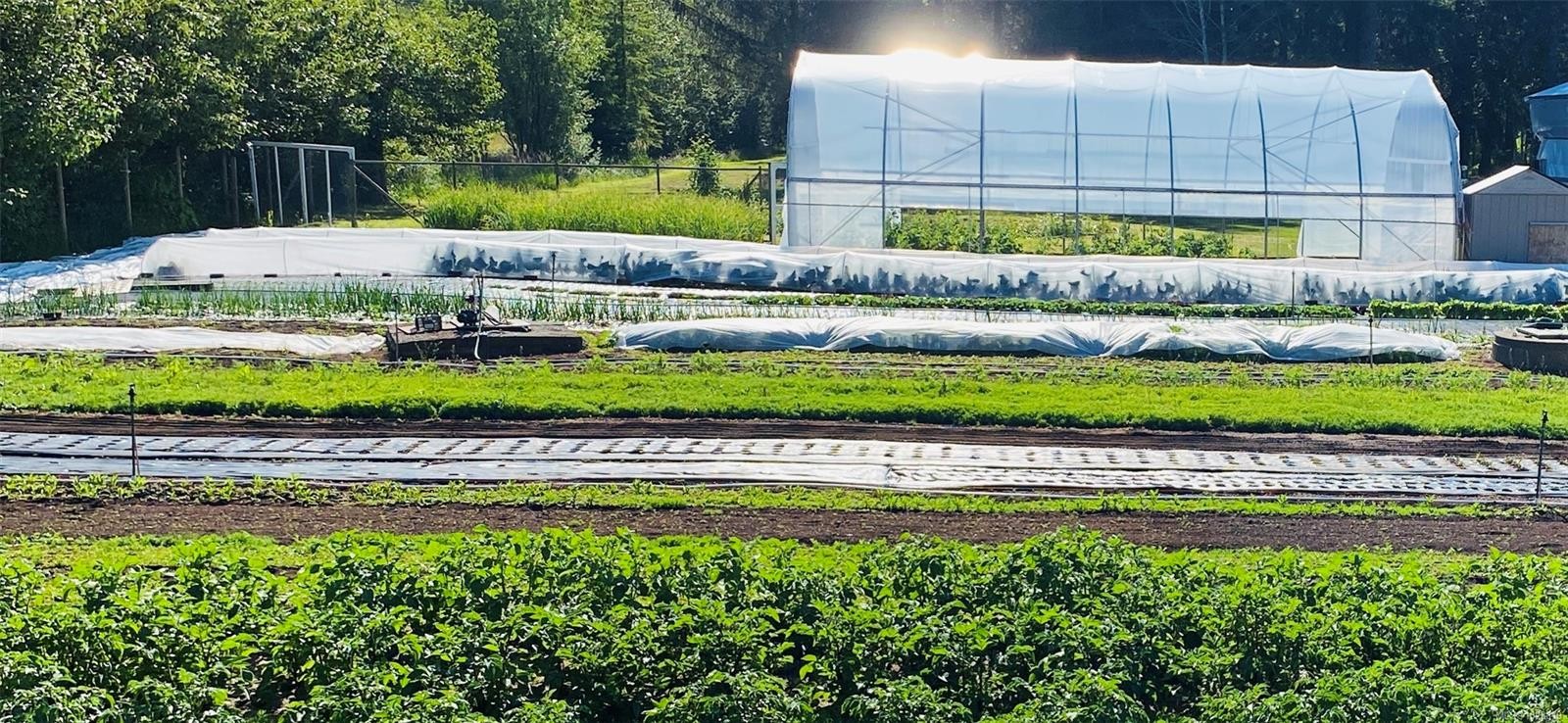 









6499


Fitzgerald

Rd,
Merville,




BC
V9J 1M7

