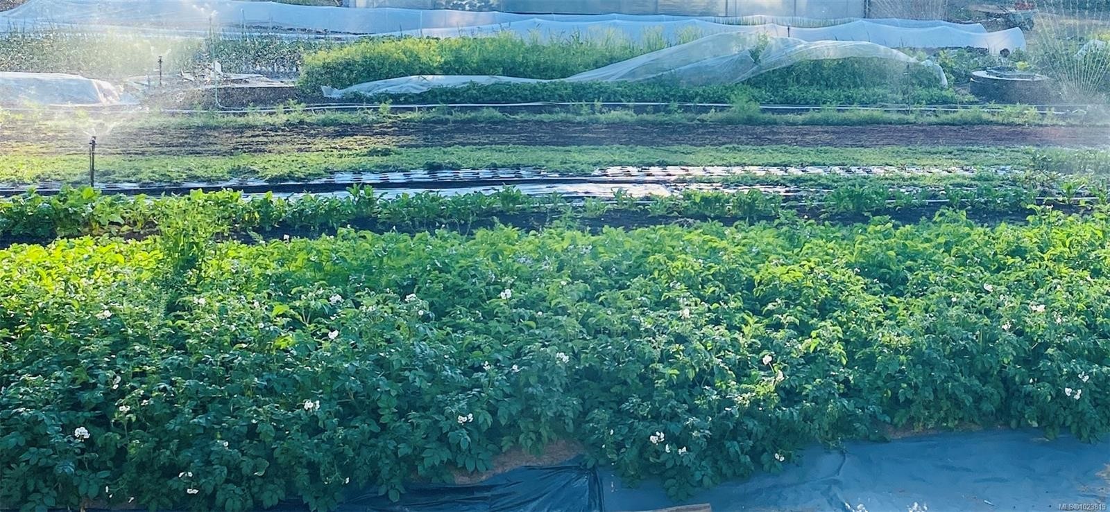 









6499


Fitzgerald

Rd,
Merville,




BC
V9J 1M7

