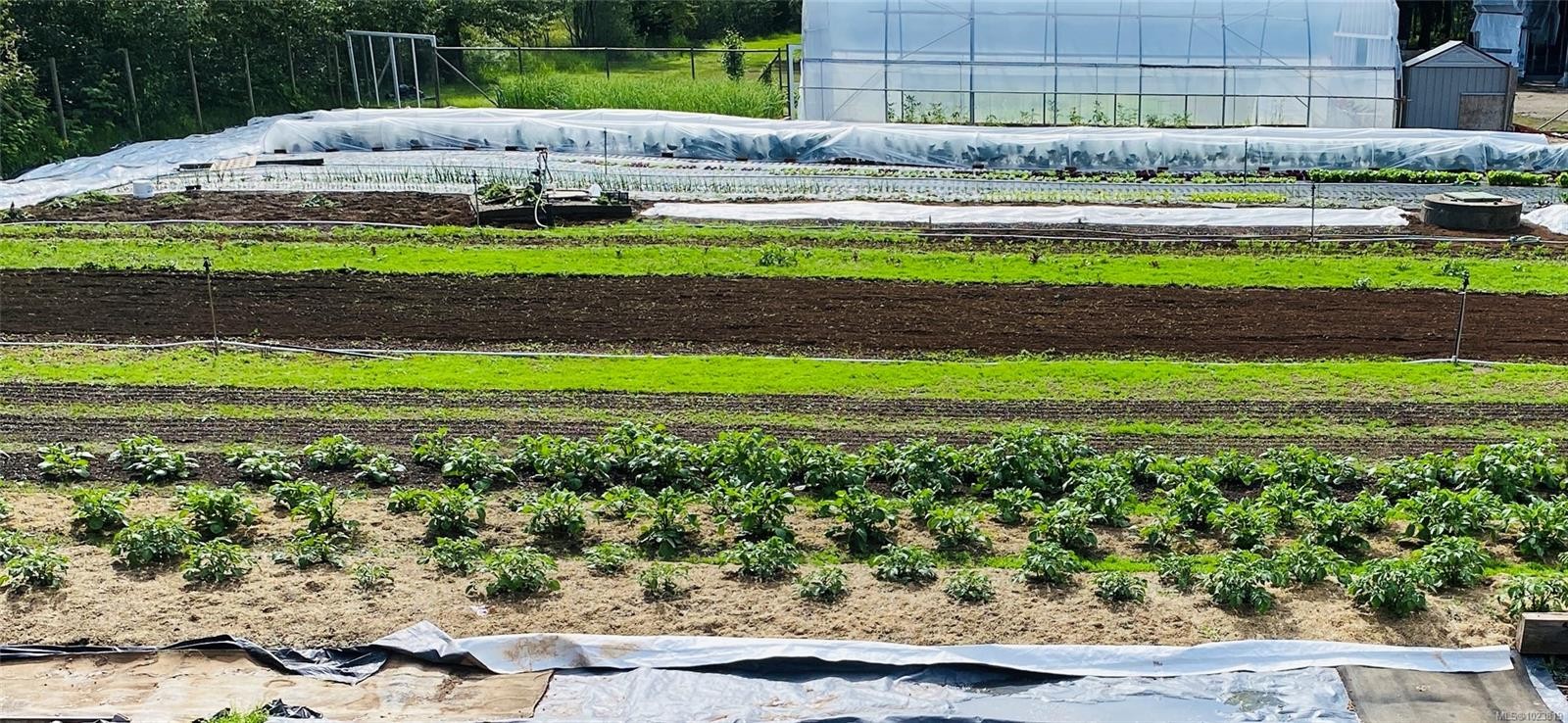 









6499


Fitzgerald

Rd,
Merville,




BC
V9J 1M7

