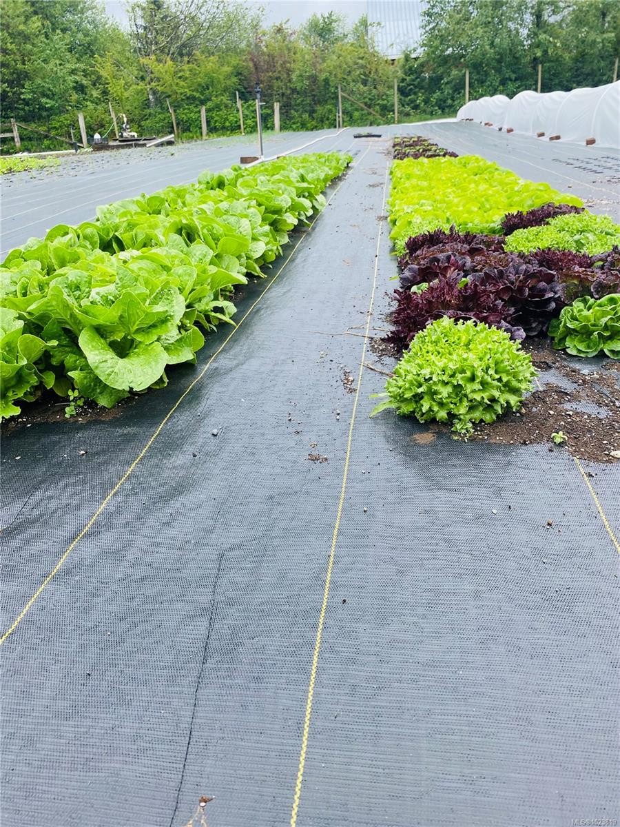 









6499


Fitzgerald

Rd,
Merville,




BC
V9J 1M7

