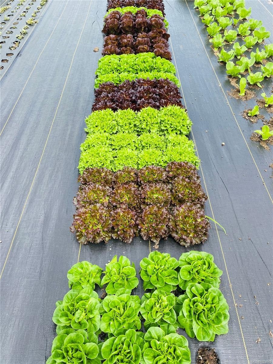 









6499


Fitzgerald

Rd,
Merville,




BC
V9J 1M7

