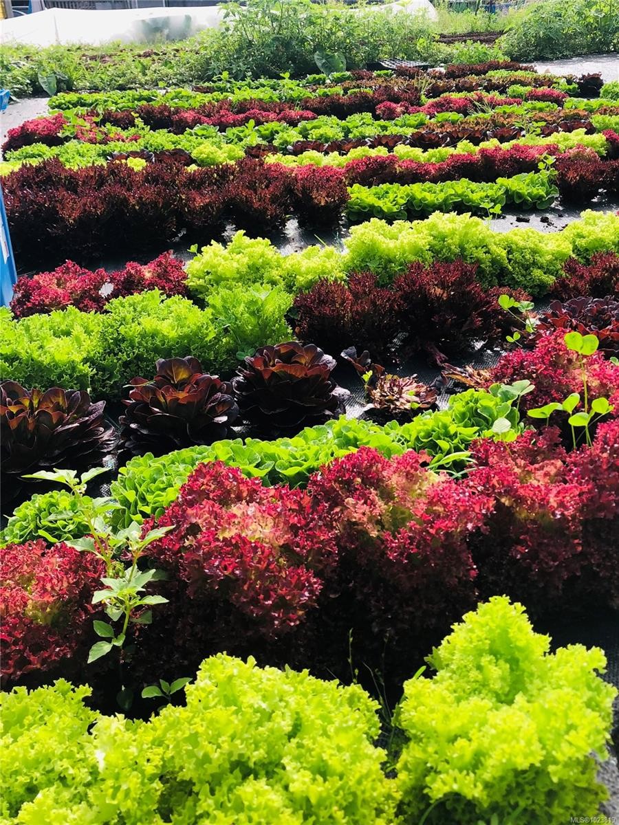 









6499


Fitzgerald

Rd,
Merville,




BC
V9J 1M7

