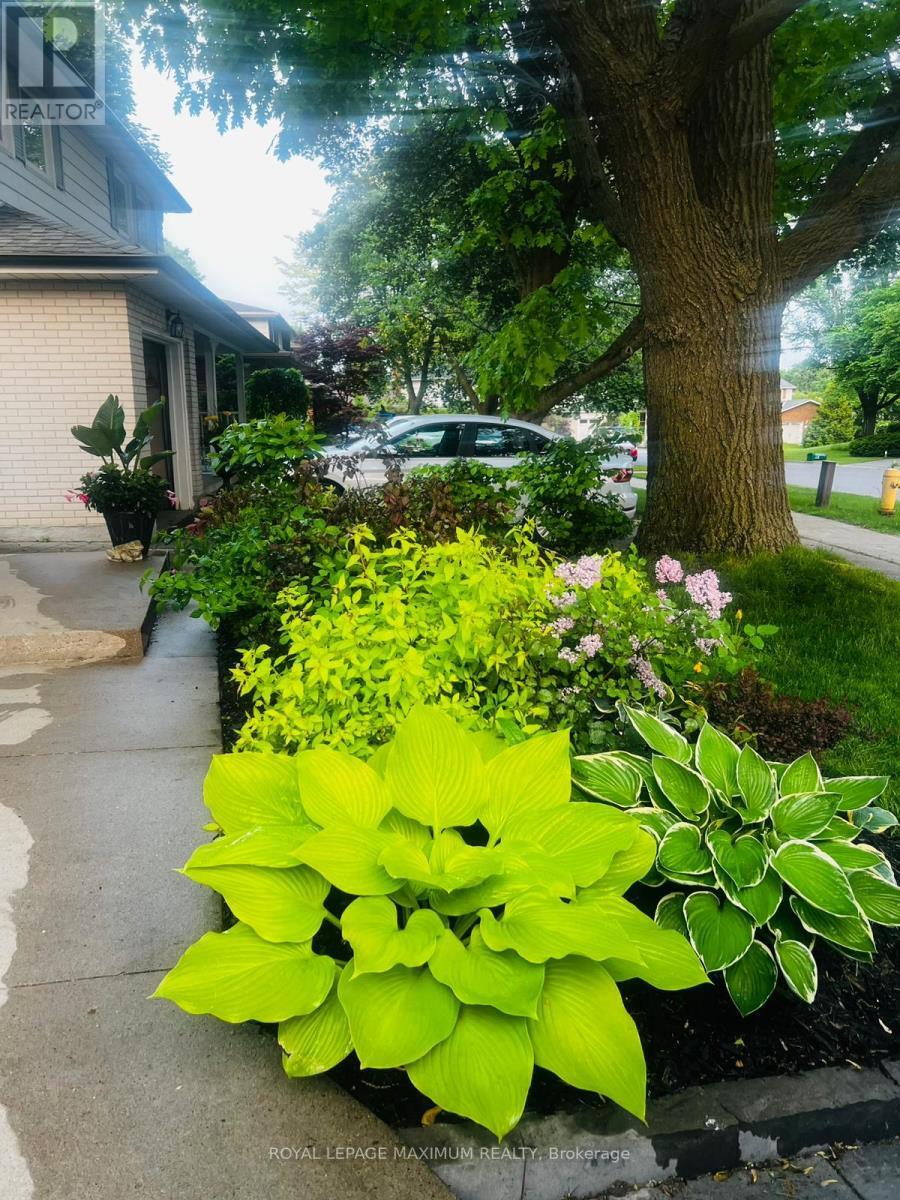 












BSMT - 41 KNOTTY PINE TRAIL

,
Markham,




Ontario
L3T3W5

