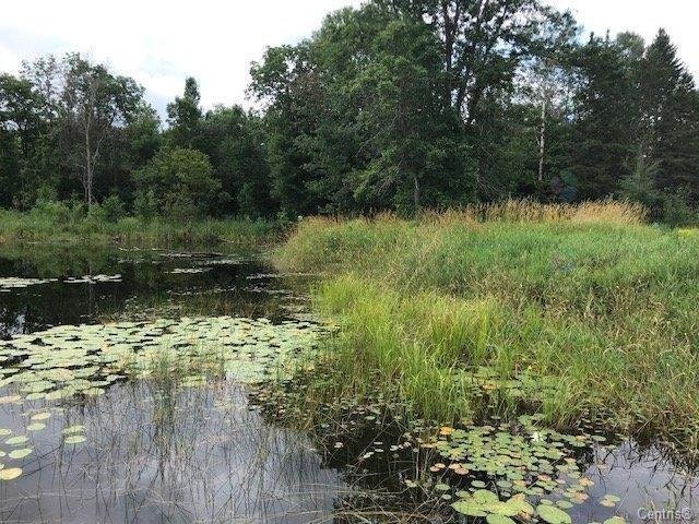 









38


Ch. du Lac-Lawless

,
Litchfield,







QC
J0X1K0

