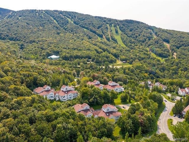 









556


Ch. Réal

, 302,
Sutton,




QC
J0E2K0

