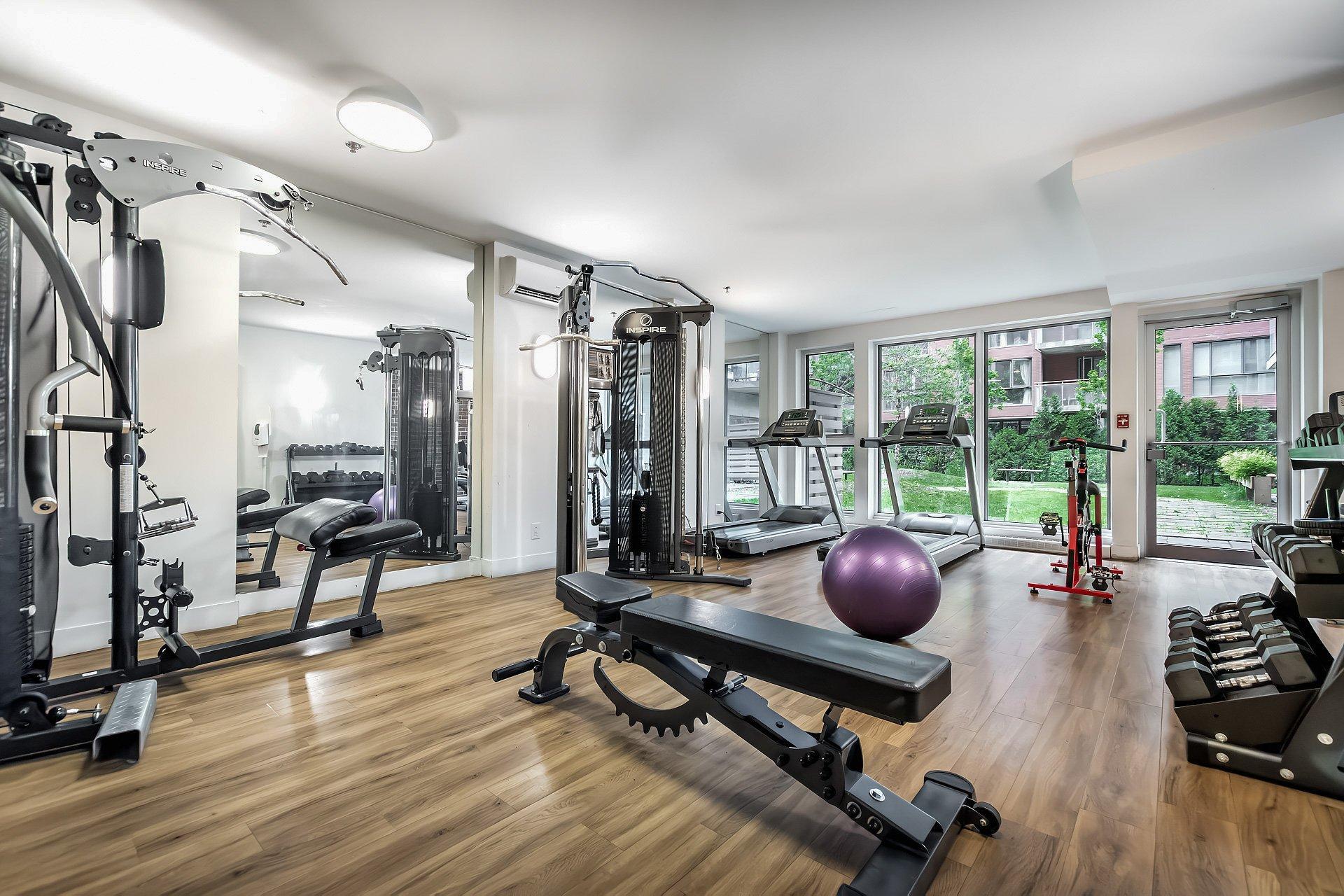 









2335


Ch. Manella

, 613,
Mont-Royal,




QC
H4P0B3

