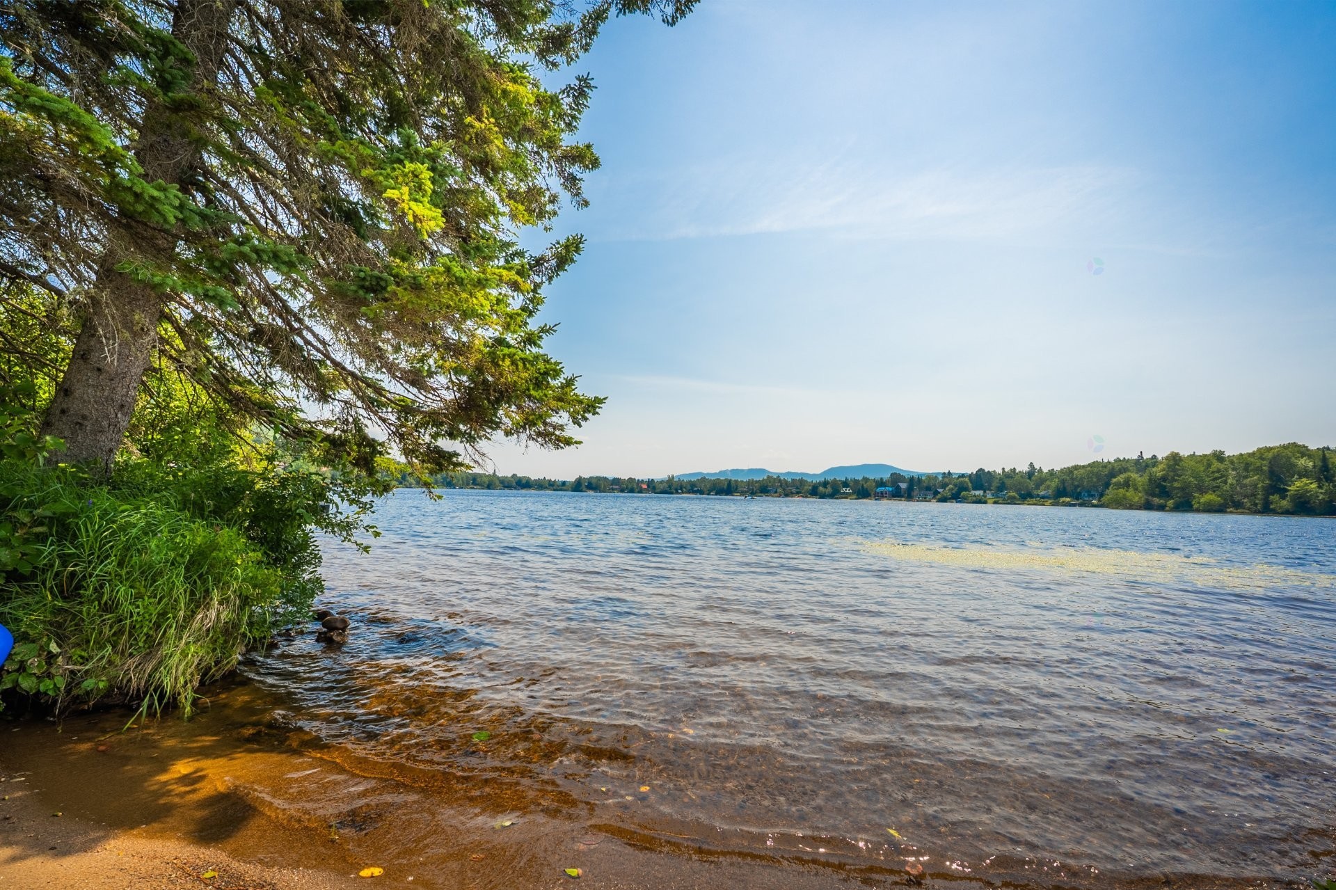 









83


Ch. des Cimes

,
Saint-Donat,




QC
J0T2C0

