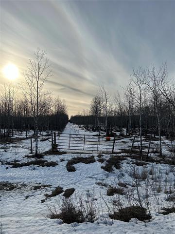 









10907


Municipal 42E Road

RD,
St Genevieve,







MB
R5J 0B5

