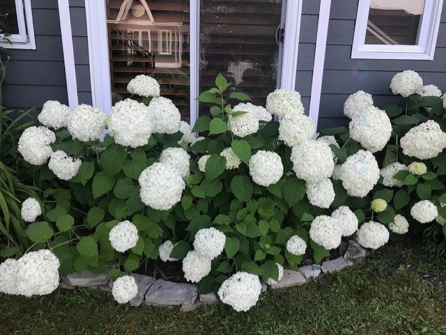 









512


Ch. de Bondville

, 1,
Lac-Brome,




QC
J0E1R0

