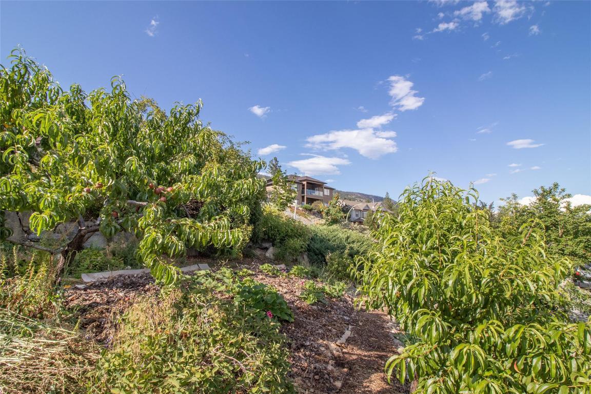 









2741


Sugosa

Place,
West Kelowna,




BC
V4T 2X3

