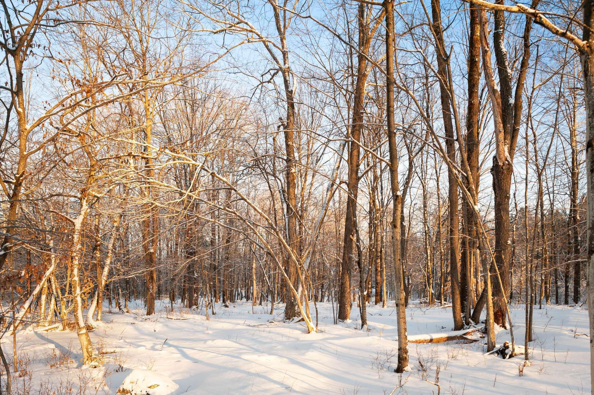 









210


Rue de Louis-Hébert

, 1,
Bromont,







QC
J2L0C6

