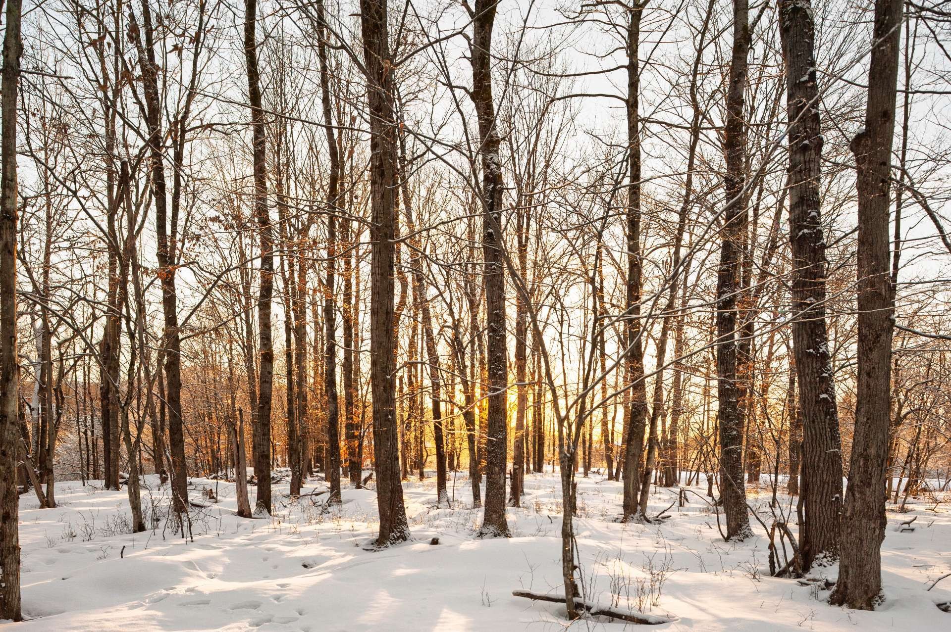 









210


Rue de Louis-Hébert

, 1,
Bromont,







QC
J2L0C6

