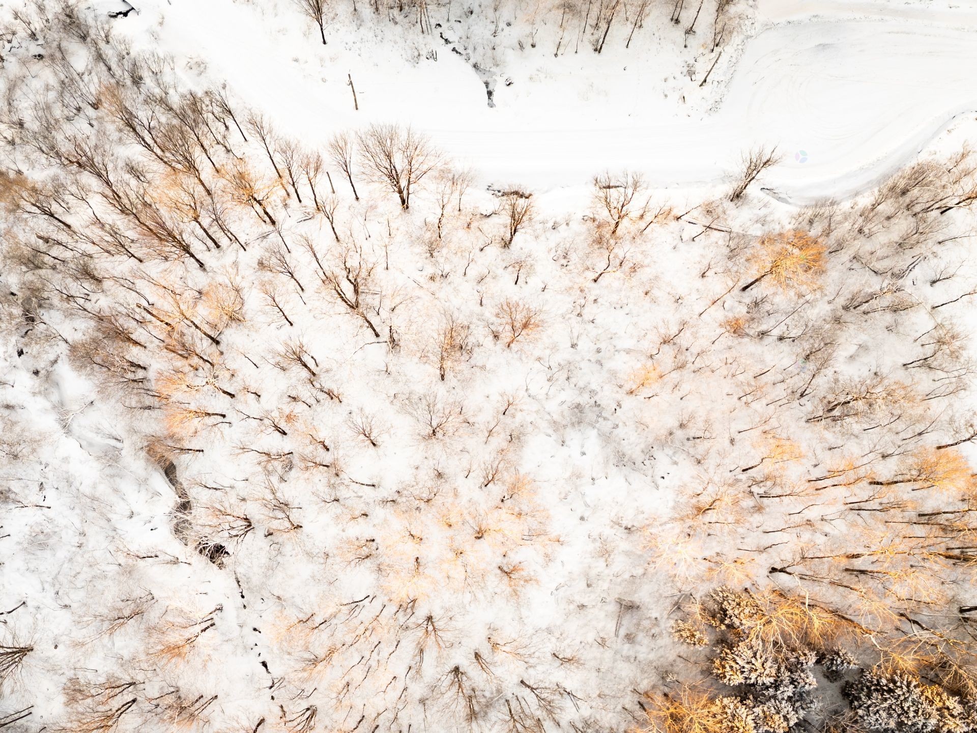 









210


Rue de Louis-Hébert

, 1,
Bromont,







QC
J2L0C6

