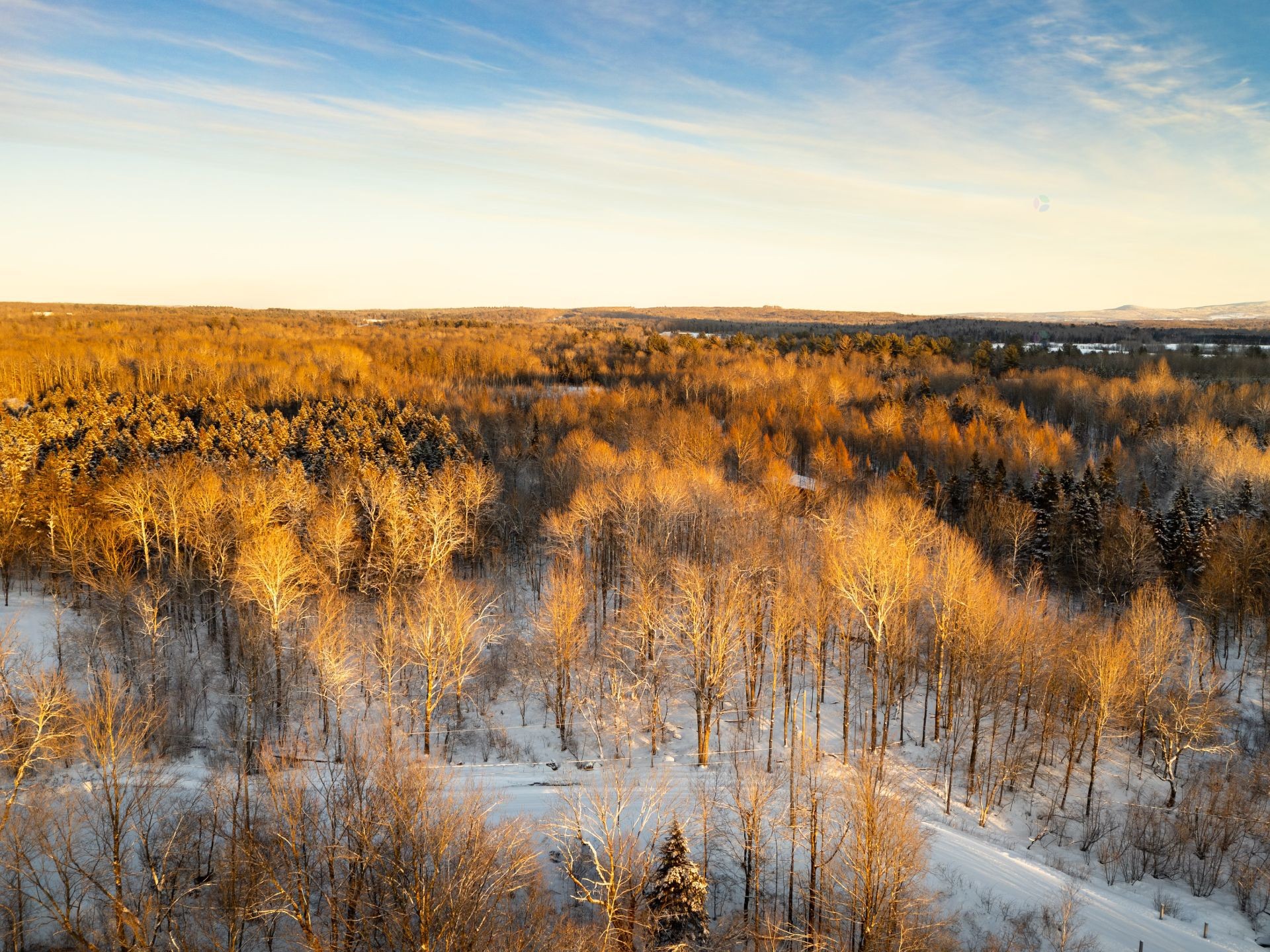 









210


Rue de Louis-Hébert

, 1,
Bromont,







QC
J2L0C6

