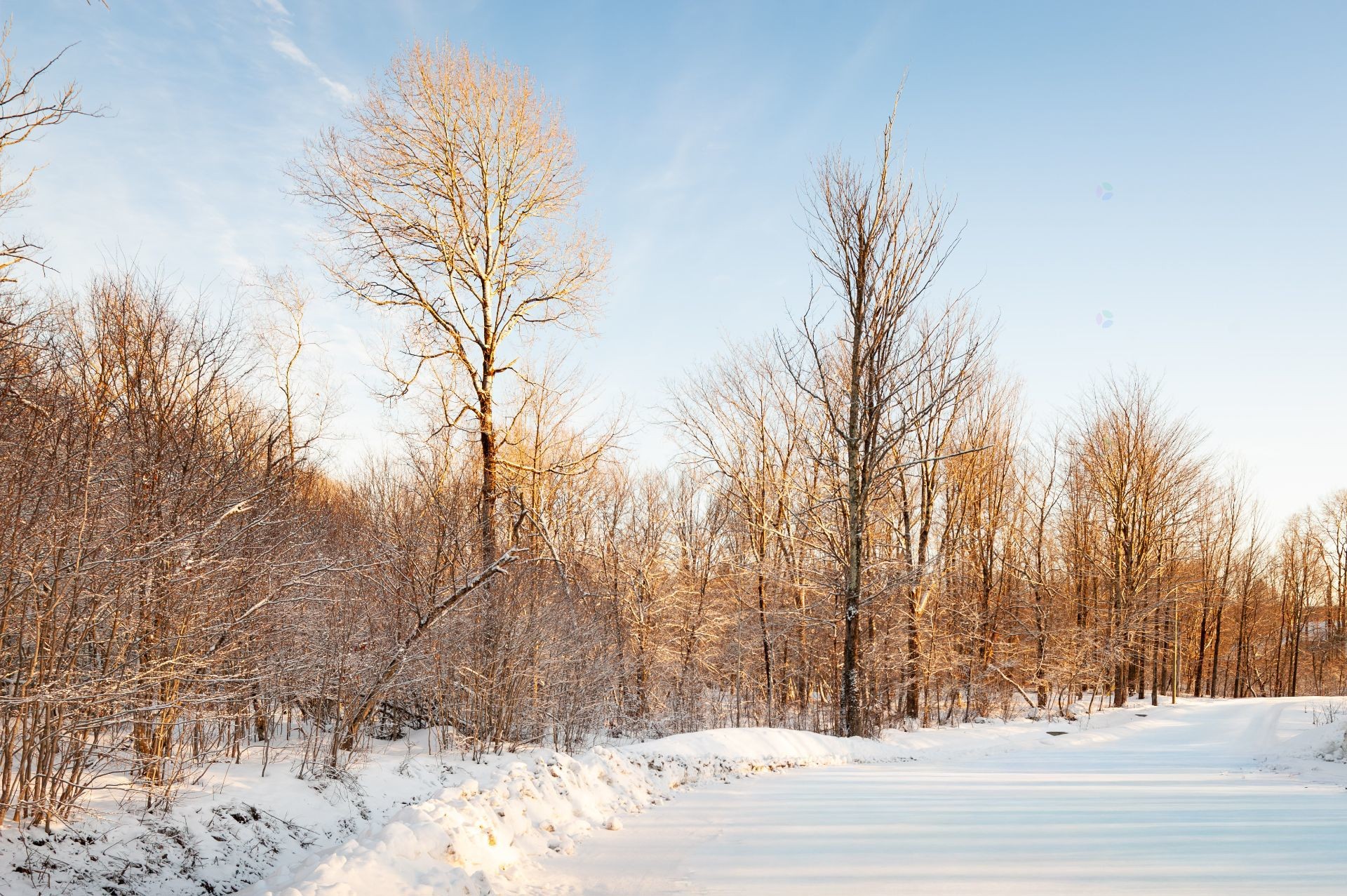 









210


Rue de Louis-Hébert

, 1,
Bromont,







QC
J2L0C6

