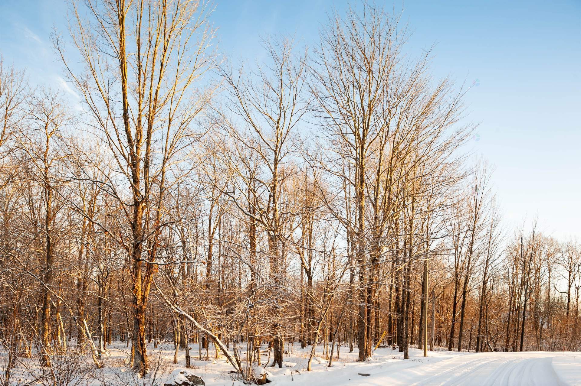 









210


Rue de Louis-Hébert

, 1,
Bromont,







QC
J2L0C6

