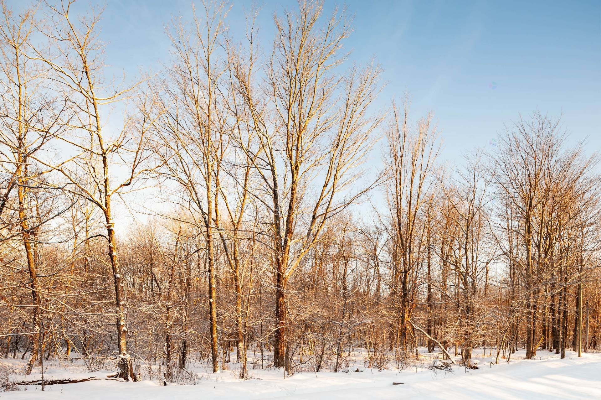 









210


Rue de Louis-Hébert

, 1,
Bromont,







QC
J2L0C6


