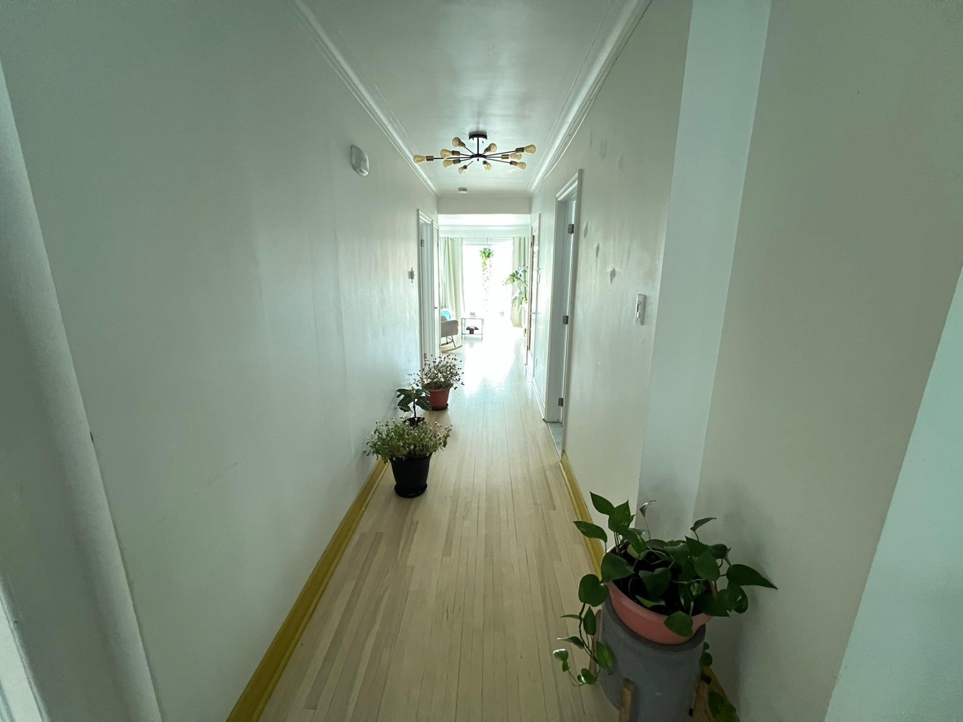 









5003


Rue Louis-Veuillot

,
Montréal (Mercier/Hochelaga-Maisonneuve),




QC
H1M2N4

