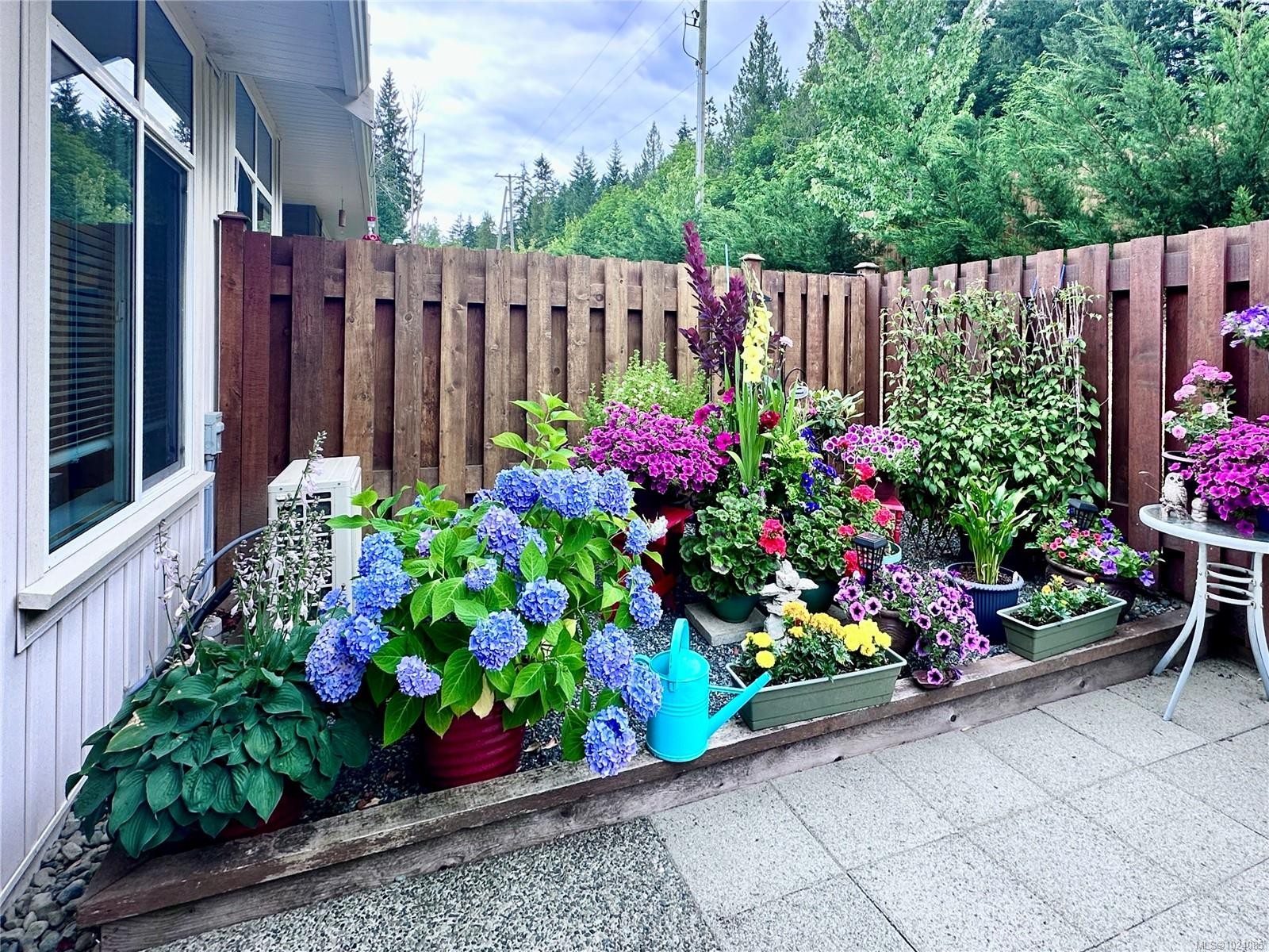 









300


Grosskleg

Way, 54,
Lake Cowichan,




BC
V0R 2G1

