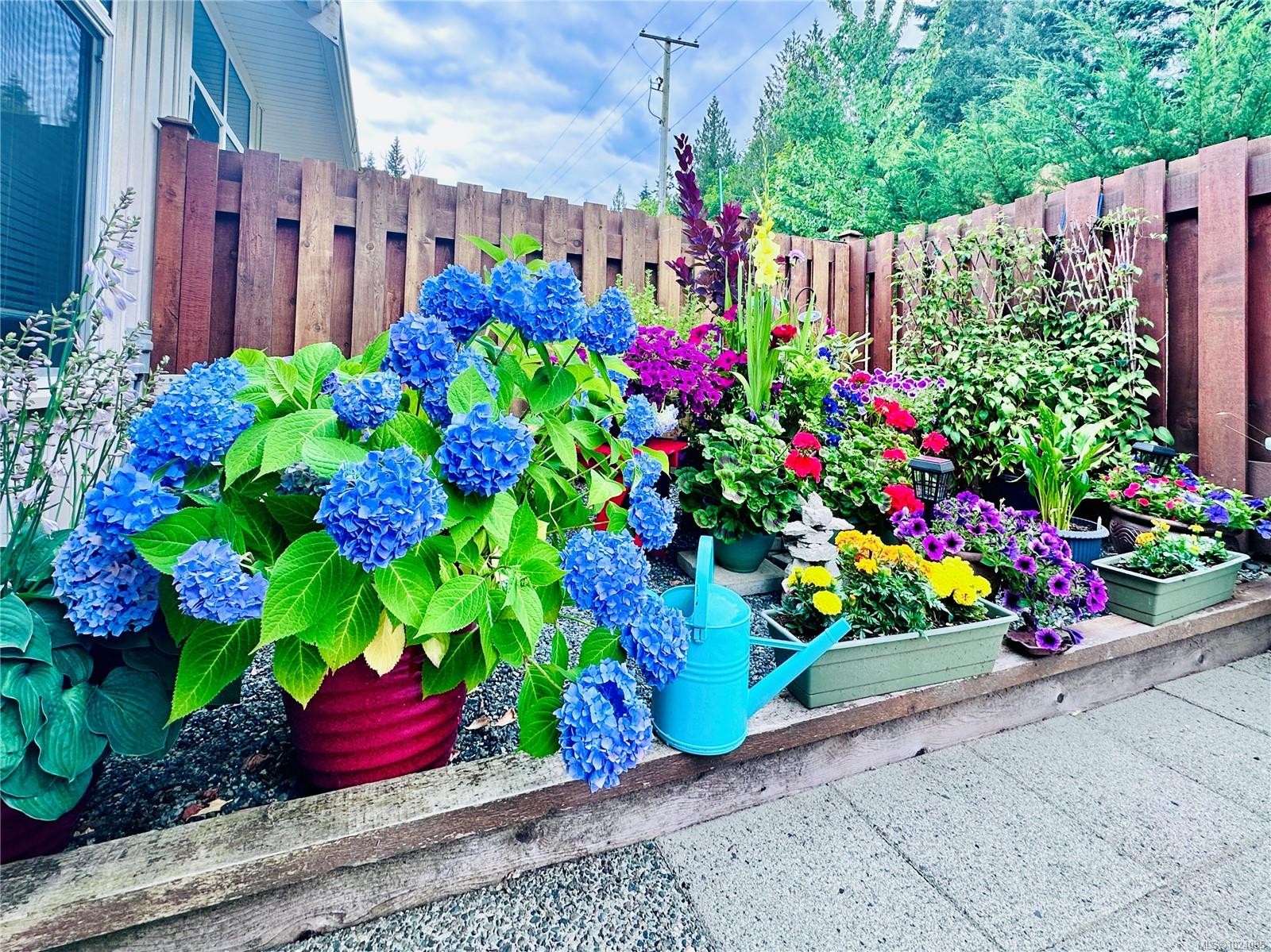 









300


Grosskleg

Way, 54,
Lake Cowichan,




BC
V0R 2G1

