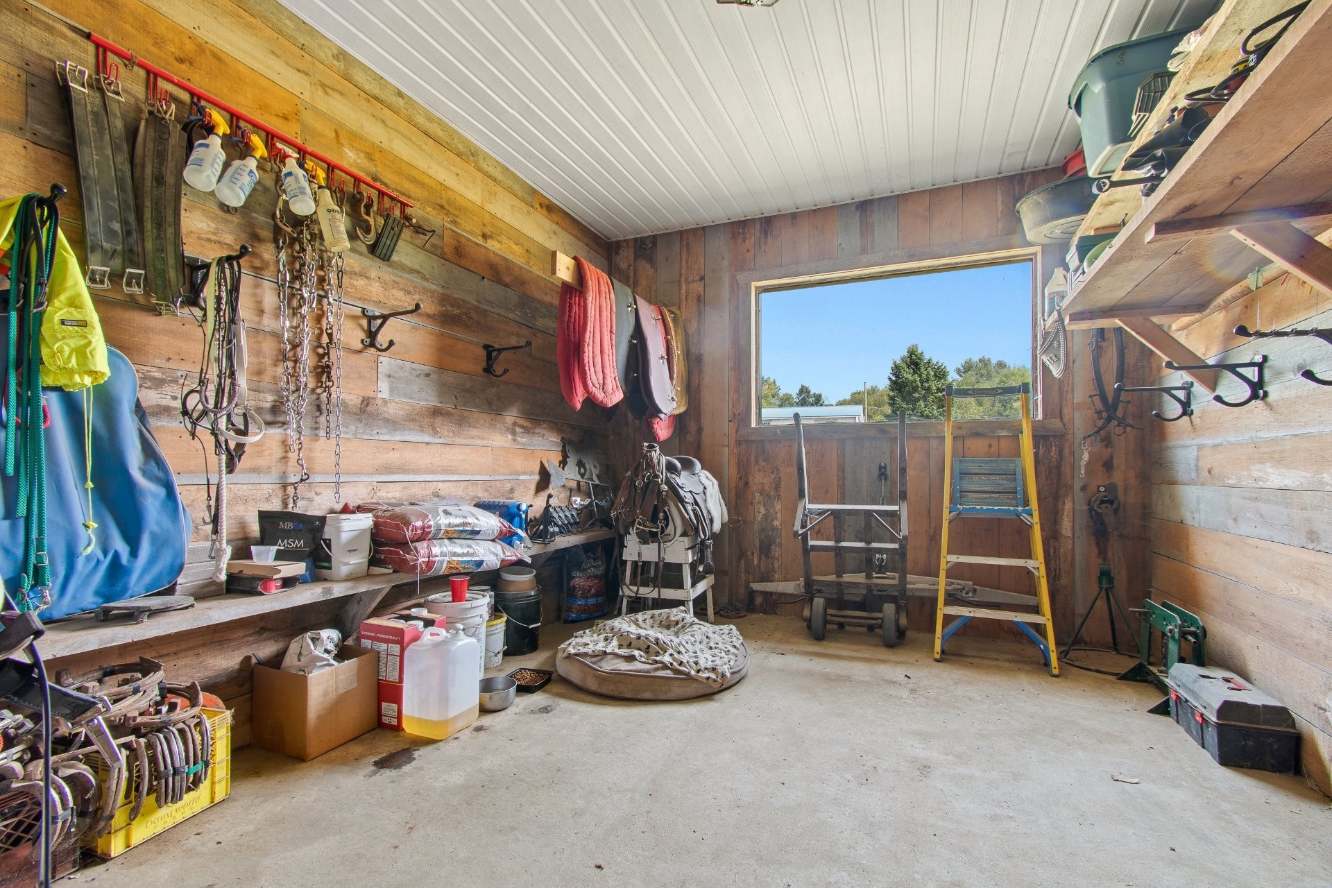 









7


Ch. de Maryland

,
Bristol,







QC
J0X1G0

