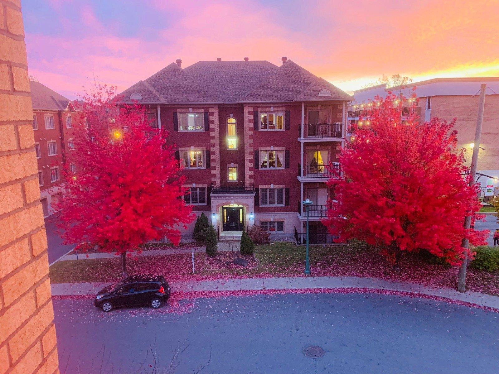 









2293


Rue Racine

, 402,
Longueuil (Saint-Hubert),




QC
J3Y0B6

