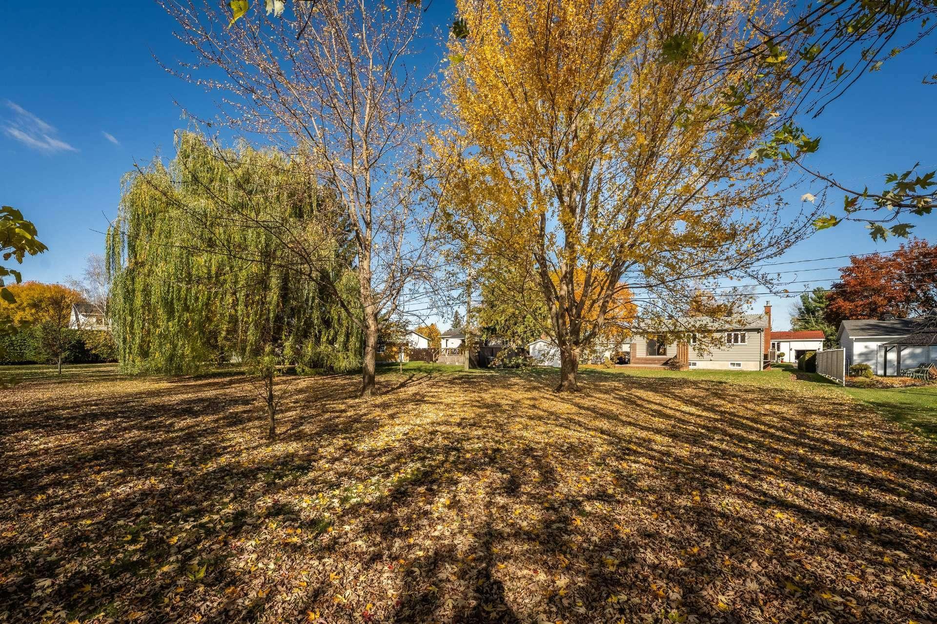 









86


Rue Deslauriers

,
Beloeil,




QC
J3G3E1

