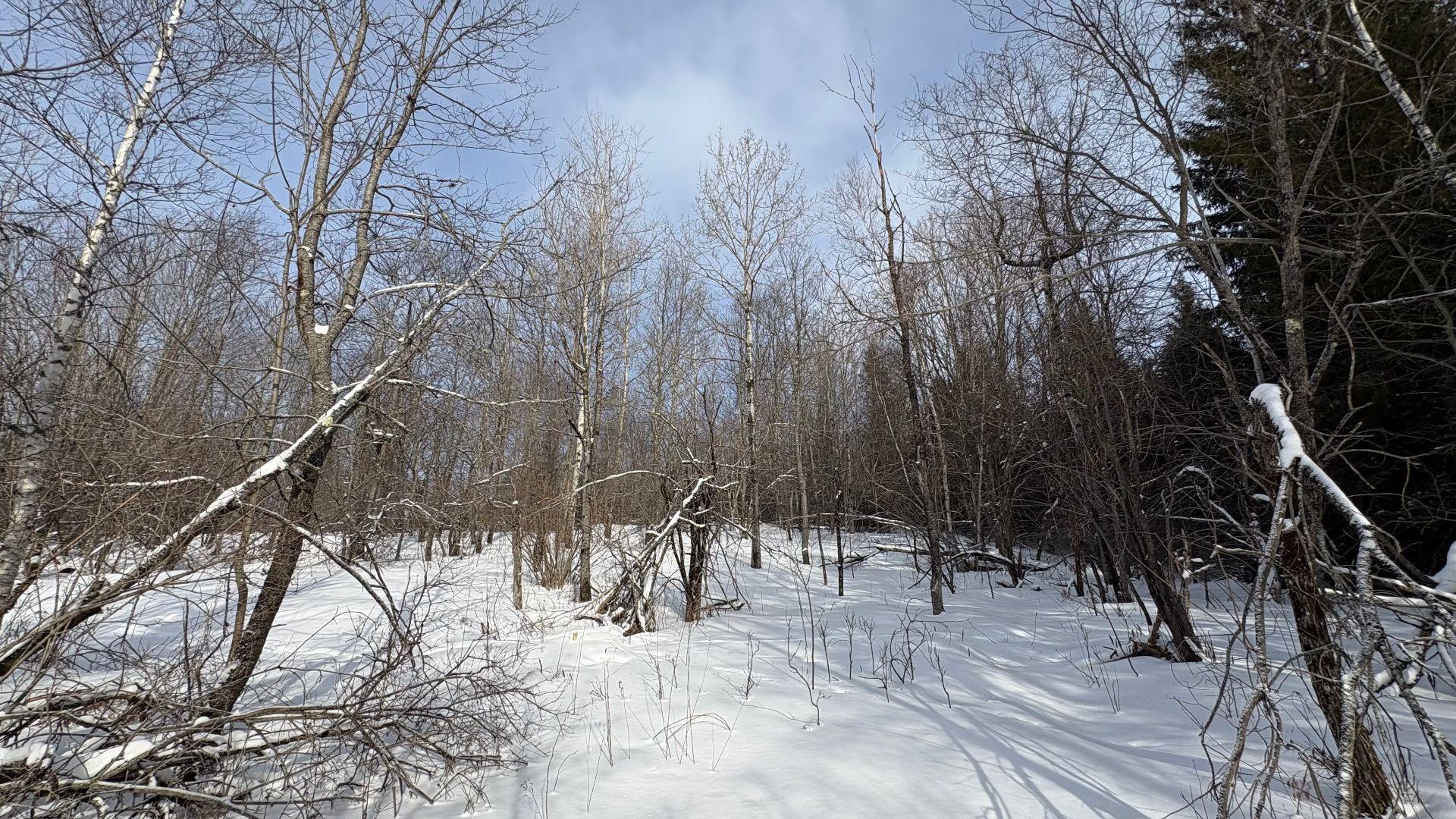 









1705


Route 210

,
Newport,







QC
J0B3A0

