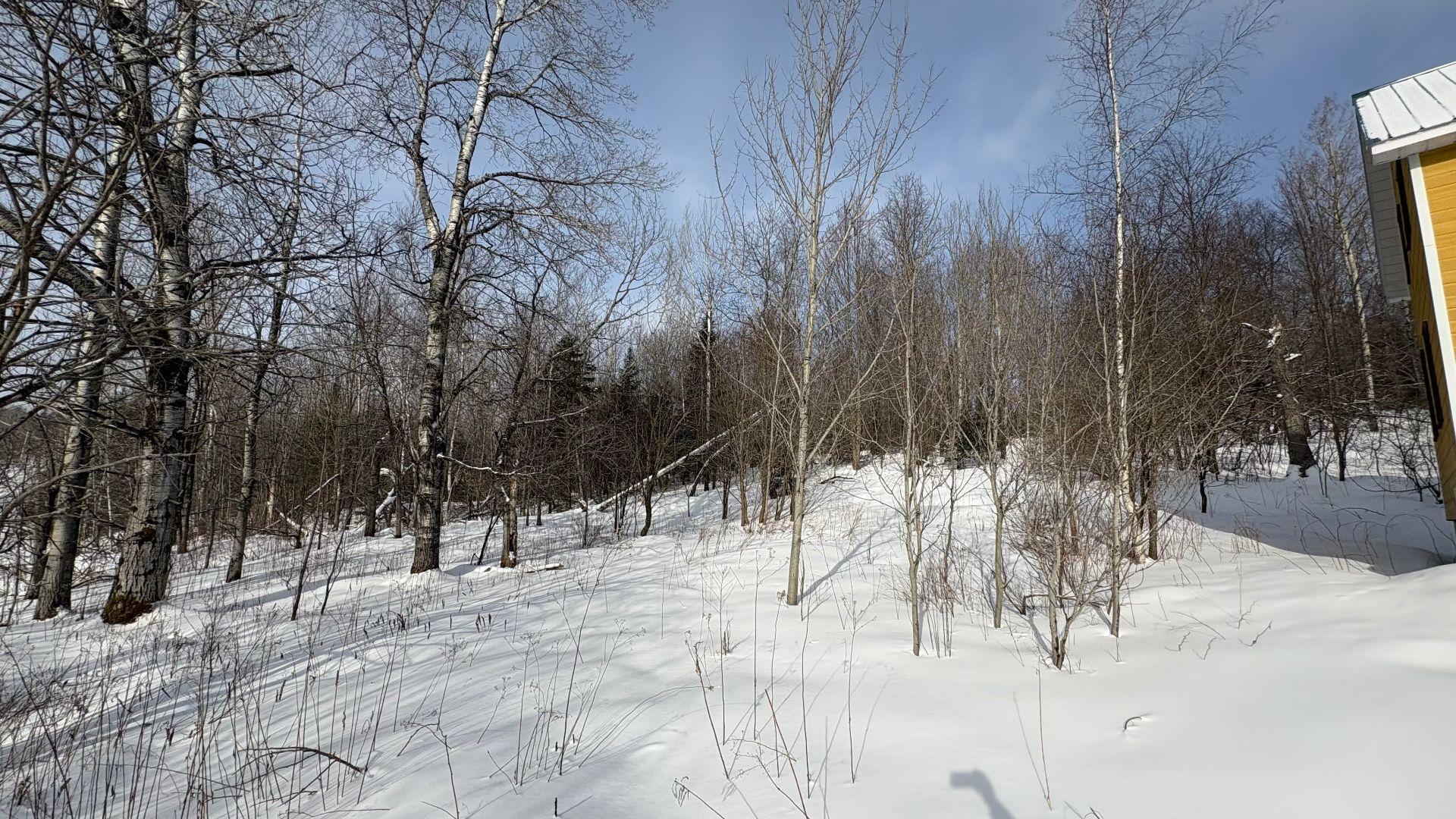 









1705


Route 210

,
Newport,







QC
J0B3A0

