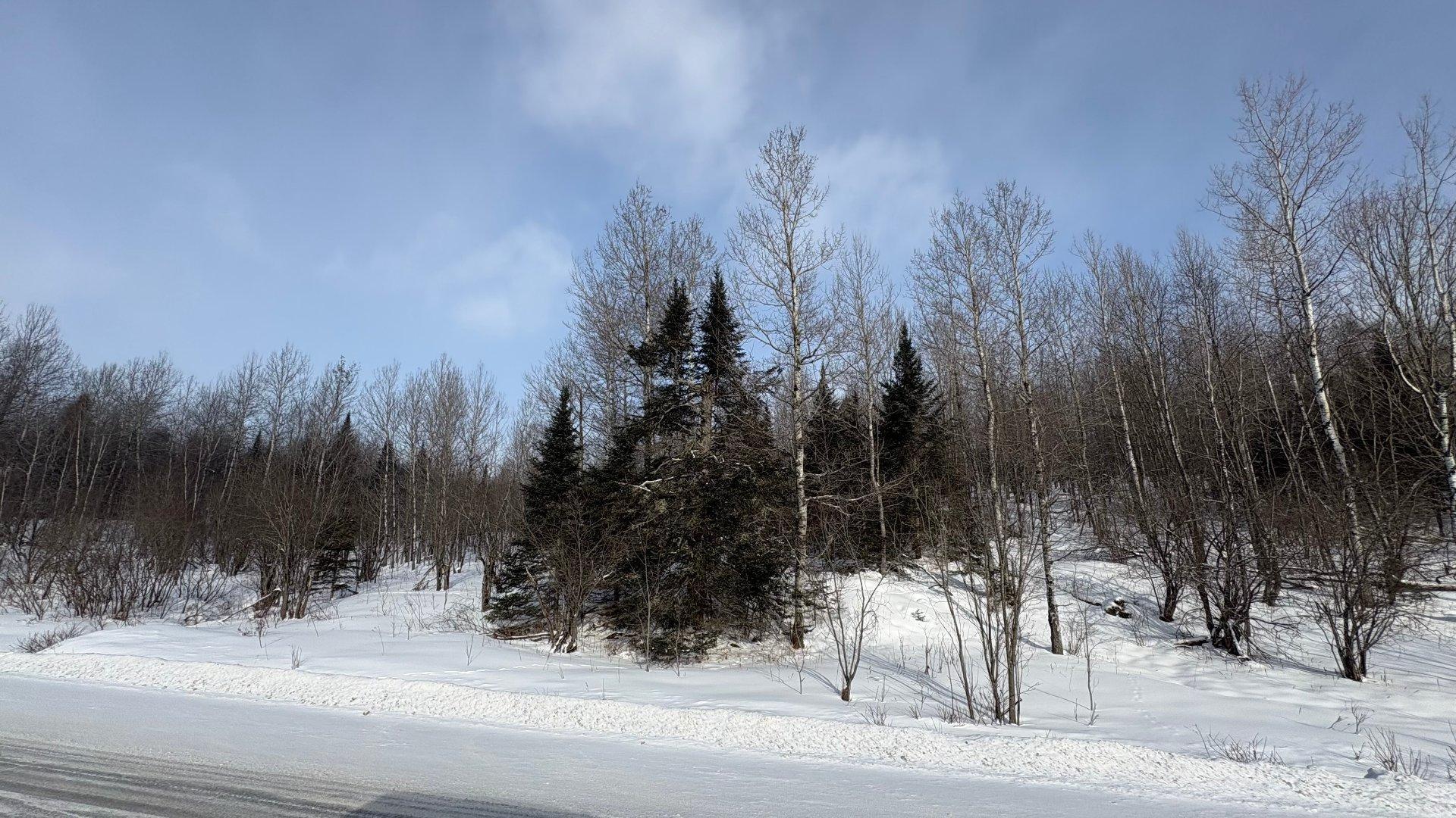 









1705


Route 210

,
Newport,







QC
J0B3A0

