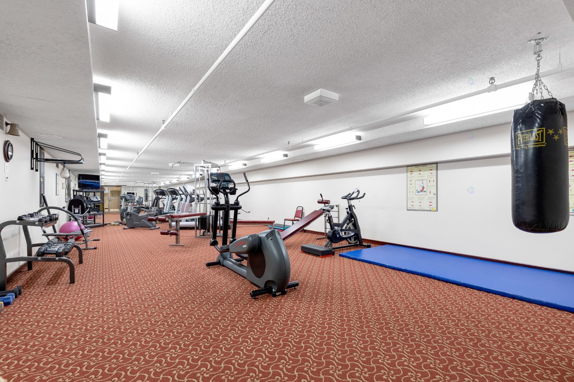 









6500


Ch. Mackle

, 305,
Côte-Saint-Luc,




QC
H4W3G7

