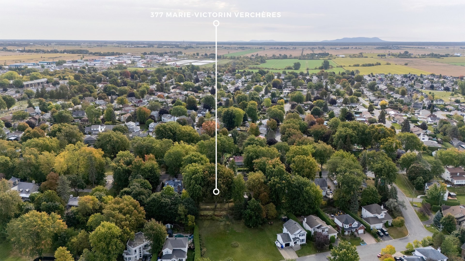 









377


Route Marie-Victorin

,
Verchères,




QC
J0L2R0

