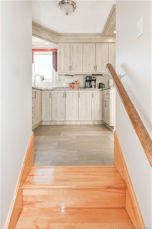 









731


Route 345

,
Évangéline,




NB
E8P 1T4

